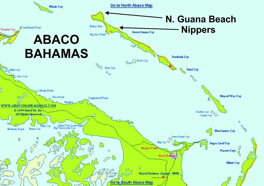 Click to See Next Image